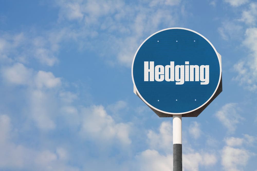 La strategia dell'Hedging